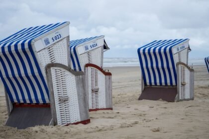 Congés payés : seuls 25 % des français prennent tous leurs jours Congés payés : seuls 25 % des Français prennent tous leurs jours