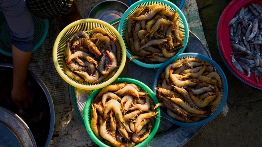 Crevettes rappelées dans toute la France pour risque de listériose