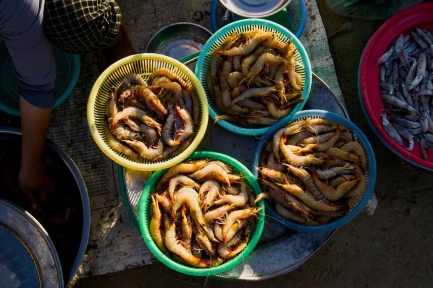 Crevettes rappelées dans toute la France pour risque de listériose