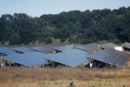 Électricité : prix négatif ce dimanche 9 août entre 11h et 15h