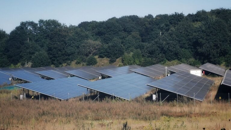 Électricité : prix négatif ce dimanche 9 août entre 11h et 15h
