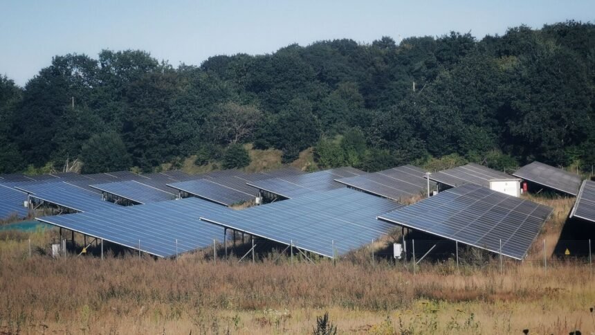 Électricité : prix négatif ce dimanche 9 août entre 11h et 15h Électricité : prix négatif ce dimanche 9 août entre 11h et 15h