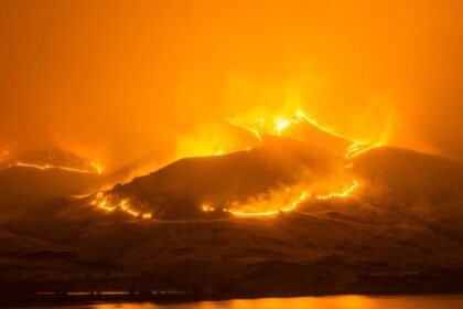 Drôme : un incendie ravage 110 hectares dans le diois, 300 pompiers mobilisés Drôme : un incendie ravage 110 hectares dans le Diois, 300 pompiers mobilisés