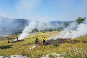 Lozère : un incendie se déclare à Prévenchères, deux avions engagés