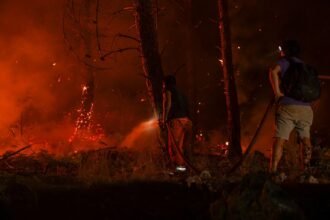 Incendie du Var : 4 500 hectares brûlés, l'Europe envoie des renforts