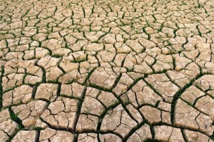 Juillet 2026 : le mois le plus chaud jamais enregistré en France