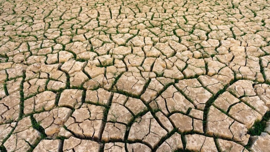 Juillet 2026 : le mois le plus chaud jamais enregistré en France
