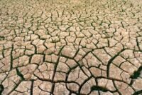 Juillet 2026 : le mois le plus chaud jamais enregistré en France
