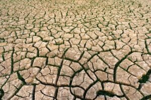 Juillet 2026 : le mois le plus chaud jamais enregistré en France