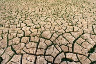 Juillet 2026 : le mois le plus chaud jamais enregistré en France