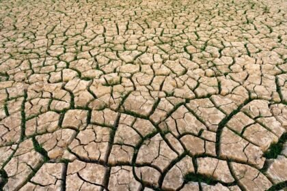 Juillet 2026 : le mois le plus chaud jamais enregistré en france Juillet 2026 : le mois le plus chaud jamais enregistré en France