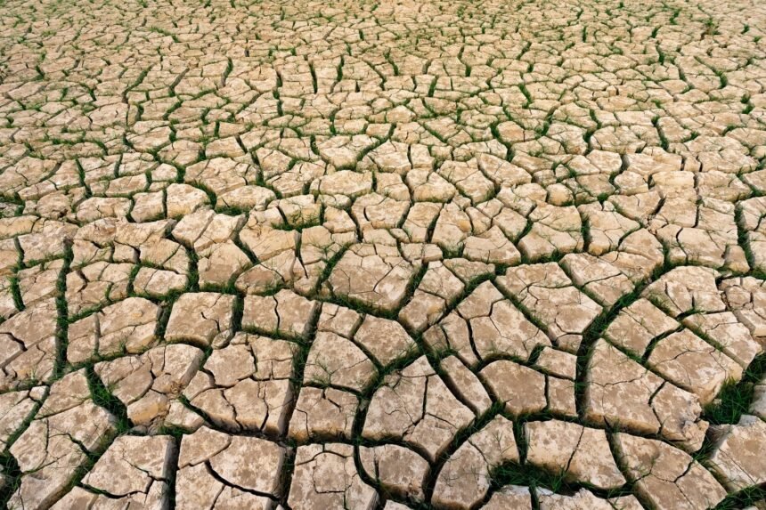 Juillet 2026 : le mois le plus chaud jamais enregistré en france Juillet 2026 : le mois le plus chaud jamais enregistré en France