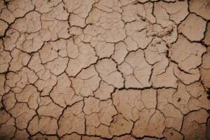 Juillet 2026 : les États-Unis ont connu leur mois le plus chaud depuis 1895