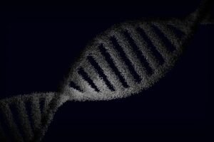 L'IA crée des virus pour combattre les bactéries résistantes aux antibiotiques