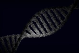 L'IA crée des virus pour combattre les bactéries résistantes aux antibiotiques