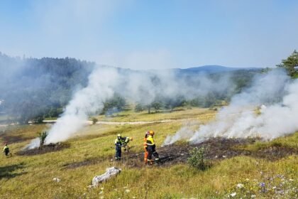 Landes : le feu de Magescq est fixé, 30 hectares de forêt brûlés