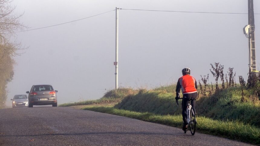 Lussac-les-Châteaux : un cycliste critique après une attaque de chiens errants