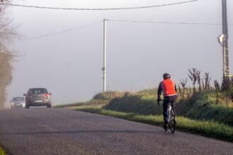 Lussac-les-Châteaux : un cycliste critique après une attaque de chiens errants
