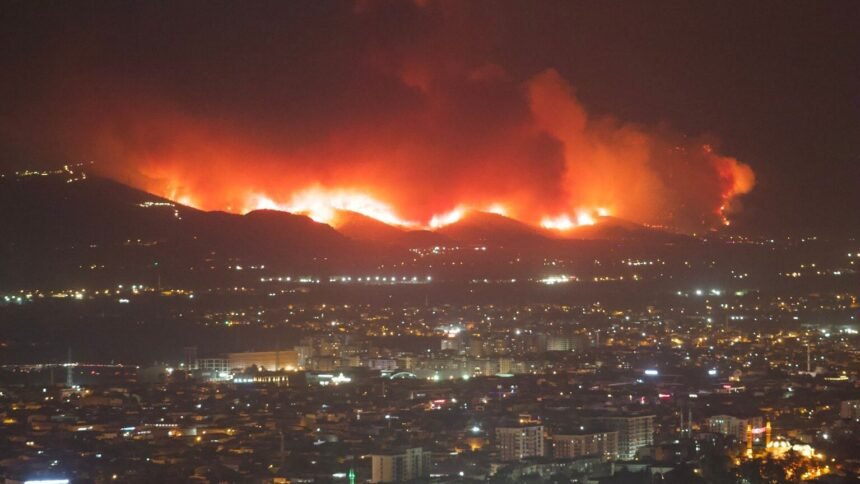 Nevada : le Hawk Fire pousse plus de 90 000 personnes à évacuer près de Reno