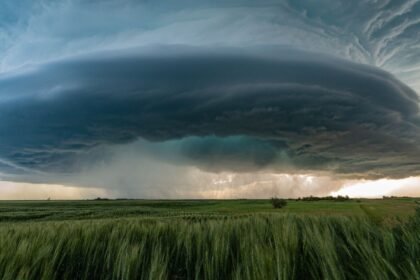 Orages violents : 75 départements en vigilance jaune, grêle et rafales à 120 km/h