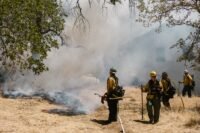 Pas-de-calais : le feu se calme, 1 200 vacanciers de retour au camping Pas-de-Calais : le feu se calme, 1 200 vacanciers de retour au camping