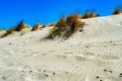 Pas-de-Calais : 1 200 vacanciers évacués après un incendie dans les dunes