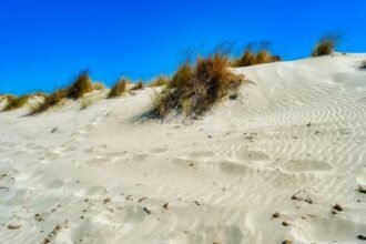 Pas-de-Calais : 1 200 vacanciers évacués après un incendie dans les dunes