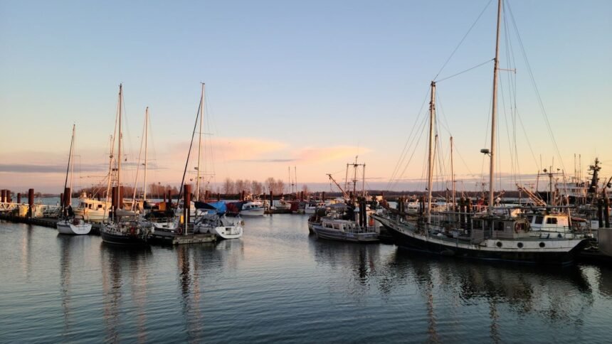 Morbihan : deux femmes noyées après la chute d’une voiture dans le port de Port-Louis
