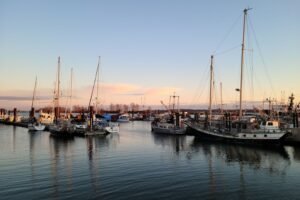 Morbihan : deux femmes noyées après la chute d'une voiture dans le port de Port-Louis