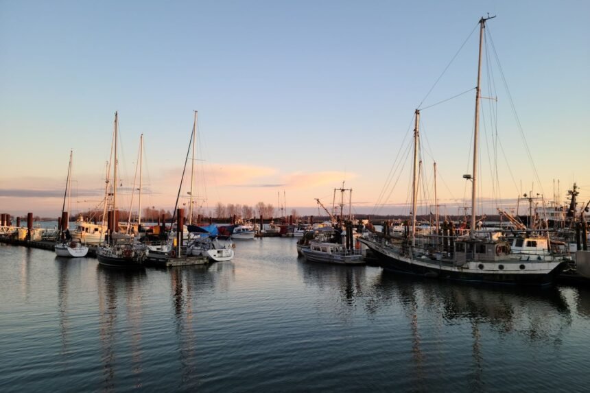 Morbihan : deux femmes noyées après la chute d'une voiture dans le port de Port-Louis