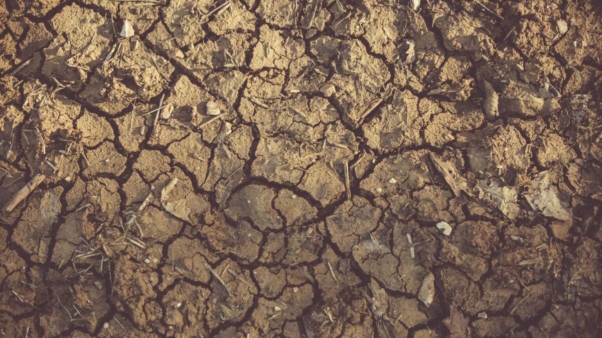 Sécheresse : 77 départements en crise, l’eau rationnée jusqu’à l’hiver