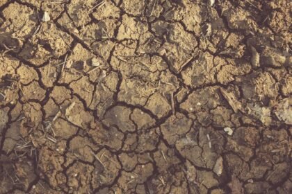 Sécheresse : 77 départements en crise, l&rsquo;eau rationnée jusqu&rsquo;à l&rsquo;hiver