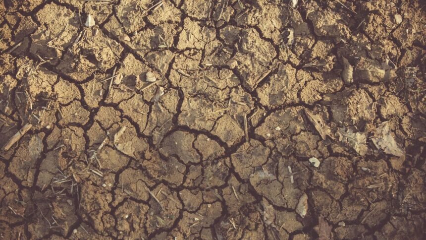 Sécheresse : 77 départements en crise, l&rsquo;eau rationnée jusqu&rsquo;à l&rsquo;hiver