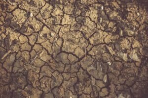 Sécheresse : le gouvernement dévoile un plan d'aide aux agriculteurs