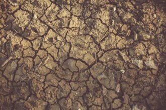 Sécheresse : le gouvernement dévoile un plan d'aide aux agriculteurs