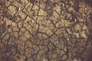 Sécheresse : deux tiers des nappes phréatiques sous les normales en France