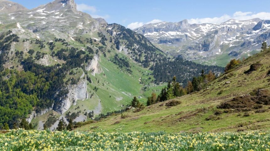 Nouveau séisme de magnitude 3. 8 dans les pyrénées, près de lourdes Nouveau séisme de magnitude 3.8 dans les Pyrénées, près de Lourdes