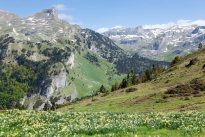 Nouveau séisme de magnitude 3. 8 dans les pyrénées, près de lourdes Nouveau séisme de magnitude 3.8 dans les Pyrénées, près de Lourdes