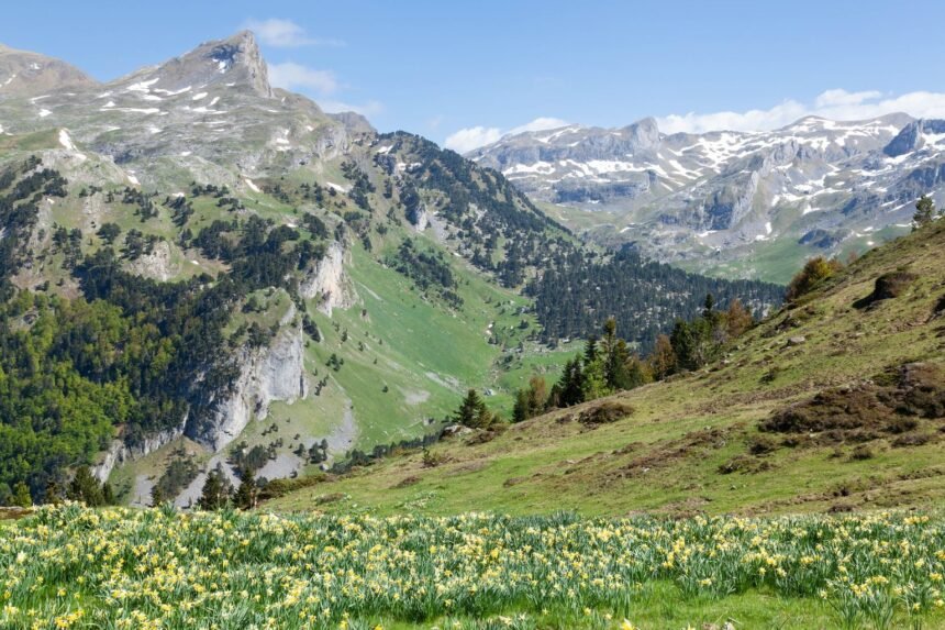 Nouveau séisme de magnitude 3.8 dans les Pyrénées, près de Lourdes