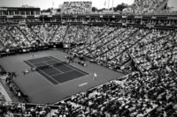 Tennis : Jannik Sinner forfait pour l'US Open, blessé au genou
