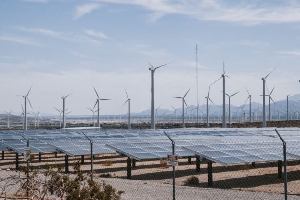 TotalEnergies rachète les activités renouvelables de Shell en Europe