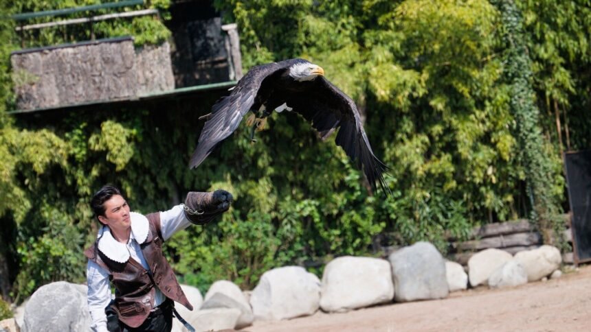 Zooparc de beauval : un octogénaire chute des gradins et blesse un spectateur ZooParc de Beauval : un octogénaire chute des gradins et blesse un spectateur