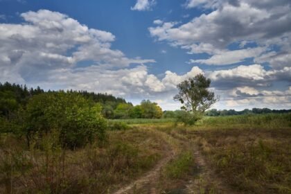 Météo : 43 départements en vigilance orange canicule ce mardi 11 août Météo : 43 départements en vigilance orange canicule ce mardi 11 août