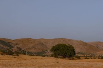Météo de ce mercredi 12 août : canicule intense et jusqu'à 40°C en France