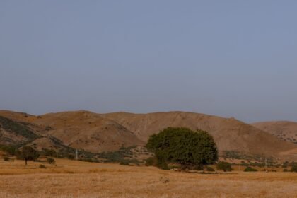 Météo de ce mercredi 12 août : canicule intense et jusqu'à 40°C en France