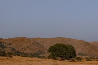 Météo : nouvelle vague de chaleur, jusqu&rsquo;à 40 °C ce week-end en France