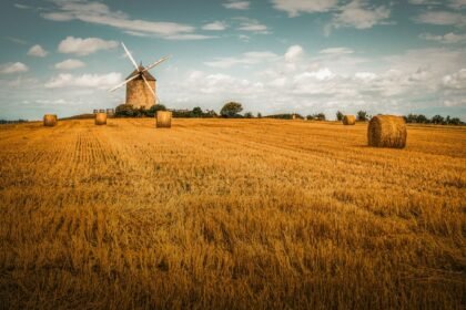Météo du samedi 22 août 2026 : le point sur les prévisions en France