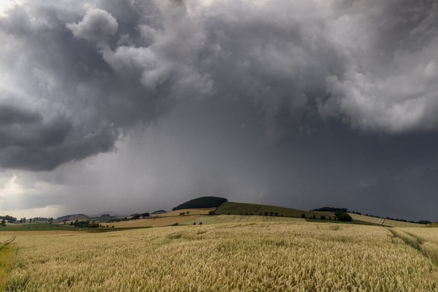 Météo du vendredi 28 août : orages à l'est, fraîcheur en approche Météo du vendredi 28 août : orages à l'Est, fraîcheur en approche