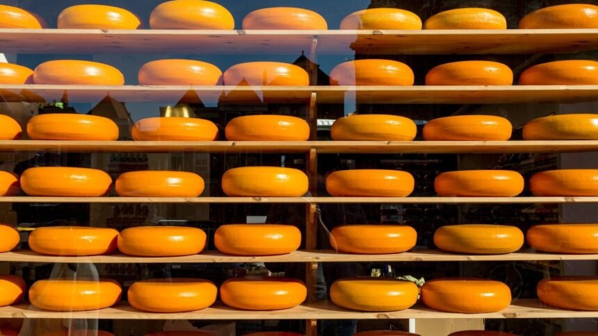 Rappel conso : ce Comté AOP est contaminé à la Listeria, ne le consommez pas