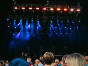Malade, suzane annule son concert au festival darc, ridsa la remplace Malade, Suzane annule son concert au festival Darc, Ridsa la remplace